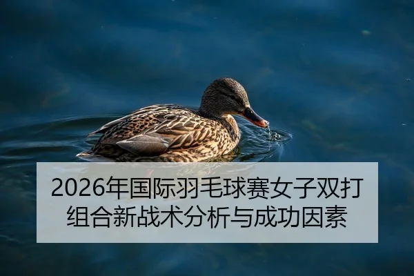2026年国际羽毛球赛女子双打组合新战术分析与成功因素