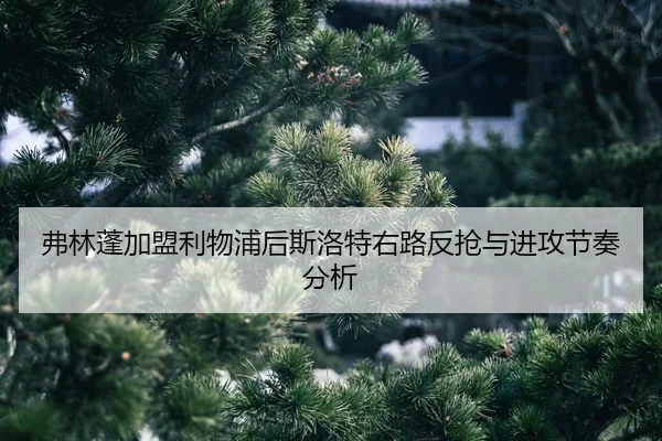 fu-lin-peng-jia-meng-li-wu-pu-hou-si-luo-te-you-lu-fan-qiang-yu-jin-gong-jie-zou-fen-xi-2-351.jpg