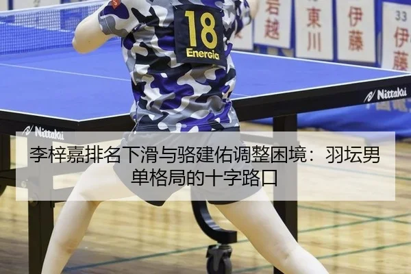 li-zi-jia-pai-ming-xia-hua-yu-luo-jian-you-tiao-zheng-kun-jing-yu-tan-nan-dan-ge-ju-de-shi-zi-lu-kou-2-341.jpg